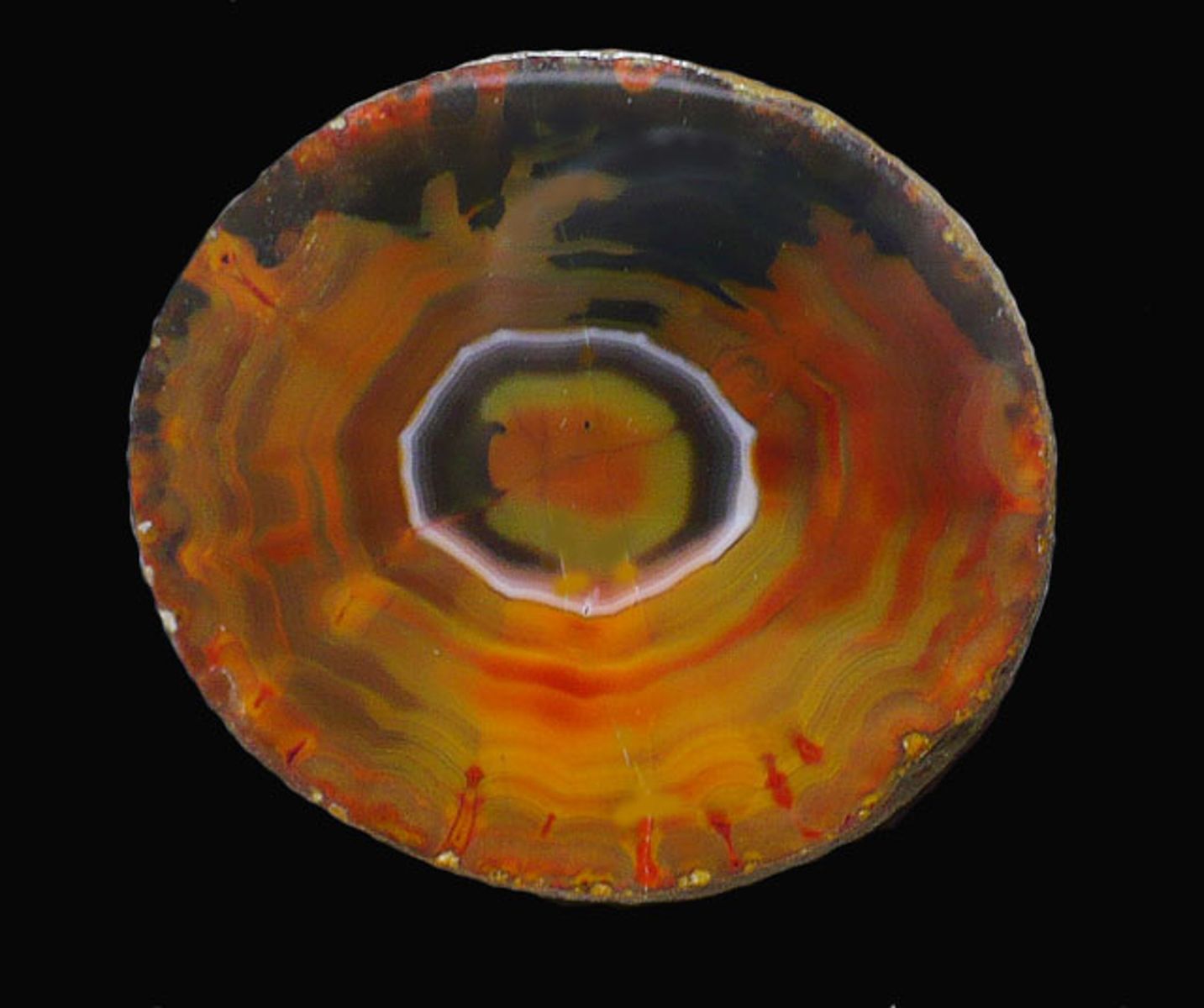 Fighting Blood Agate6_11