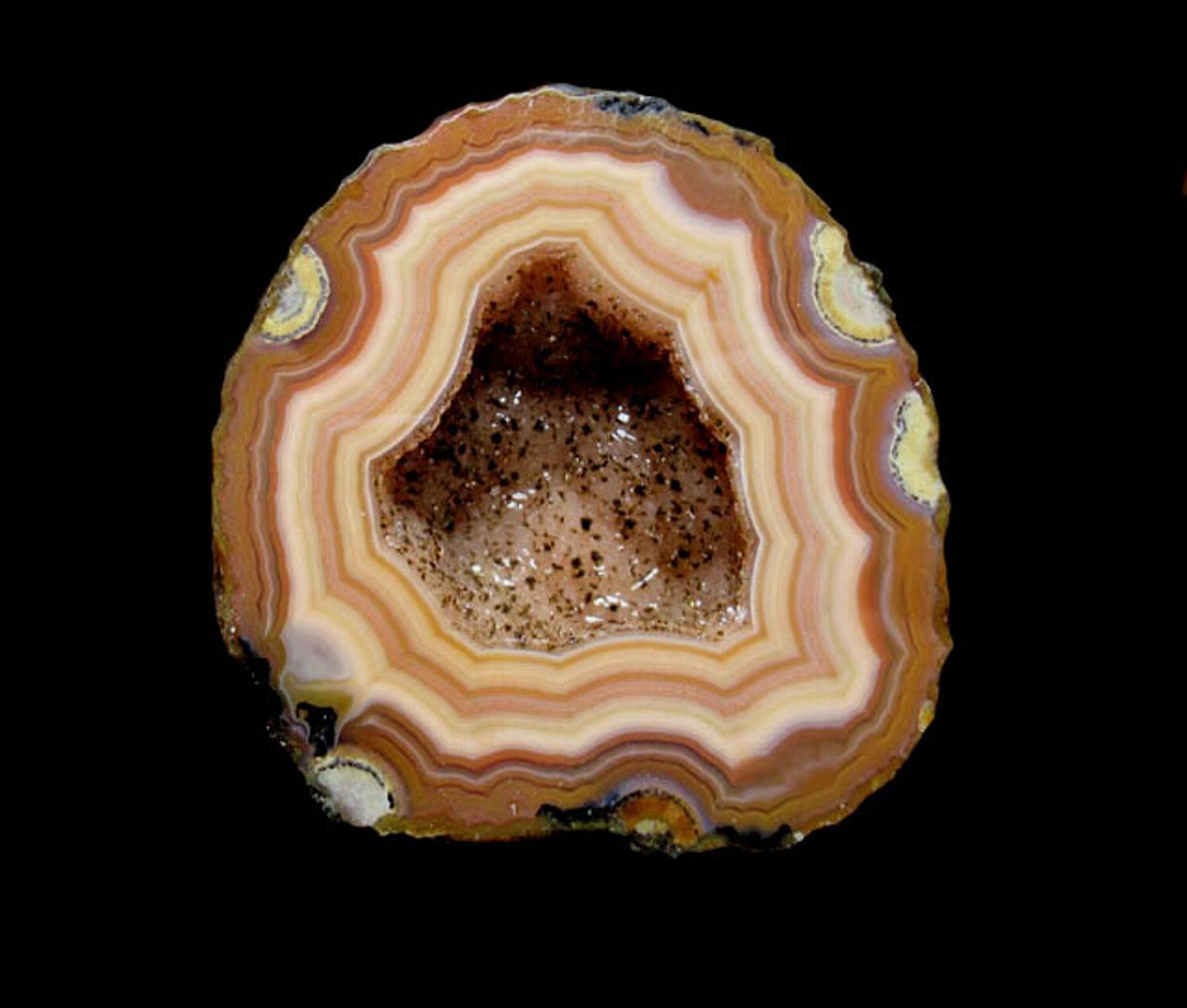 Fighting Blood Agate5a