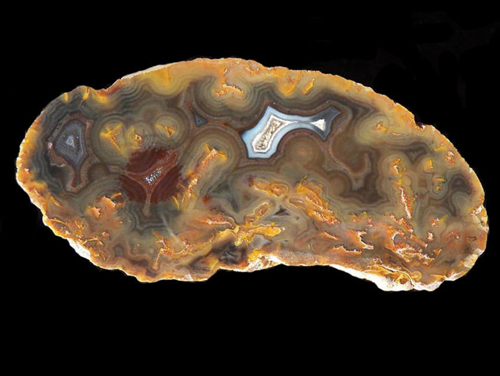 West Timor Agate